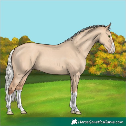 Horse Color:Silver Classic Champagne Dun Splash Frame 
