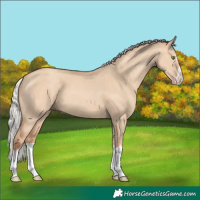 Horse Color:Silver Classic Champagne Dun Splash Frame 