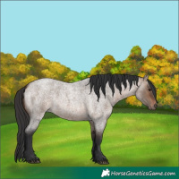 Horse Color:Brown Roan Dun 