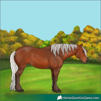 Horse Color:Silver Brown 