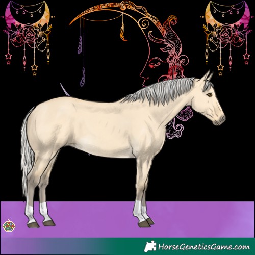 Horse Color:Silver Buckskin Dun Tobiano 