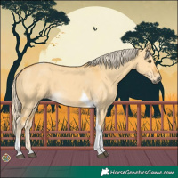 Horse Color:Palomino Dun Tobiano