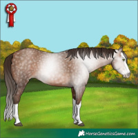 Horse Color:Gray Brown Pearl Splash 