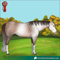 Horse Color:Gray Brown Pearl Splash
