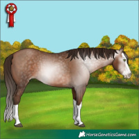Horse Color:Gray Brown Pearl Splash 