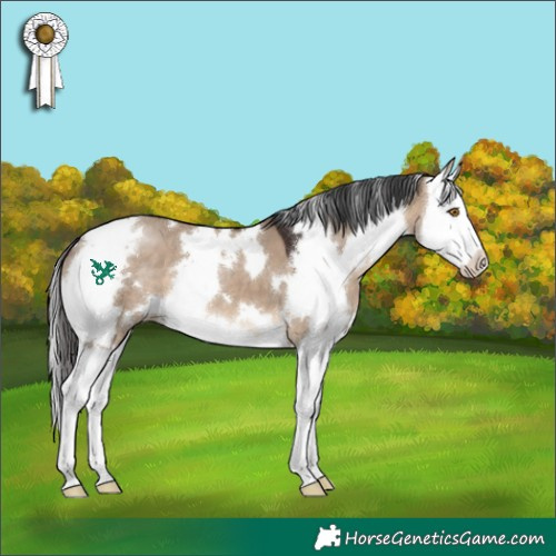 Horse Color:White Spotted Brown Dun Splash 