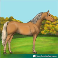 Horse Color:Palomino 