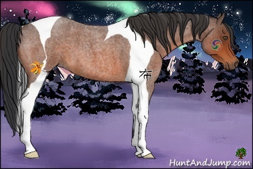 Horse Color:Bay Roan Tobiano 