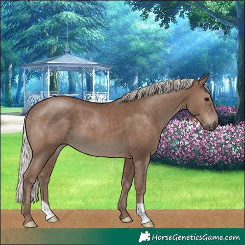 Horse Color:Silver Black 