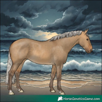 Horse Color:Silver Buckskin Dun Rabicano