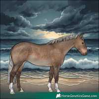 Horse Color:Silver Brown Dun 