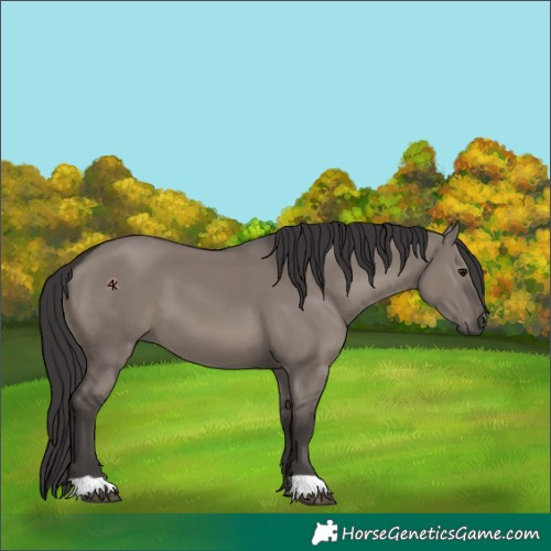 Horse Color:Smoky Grullo Mushroom 
