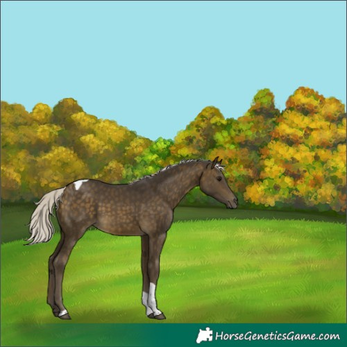 Horse Color:Silver Buckskin Tobiano 