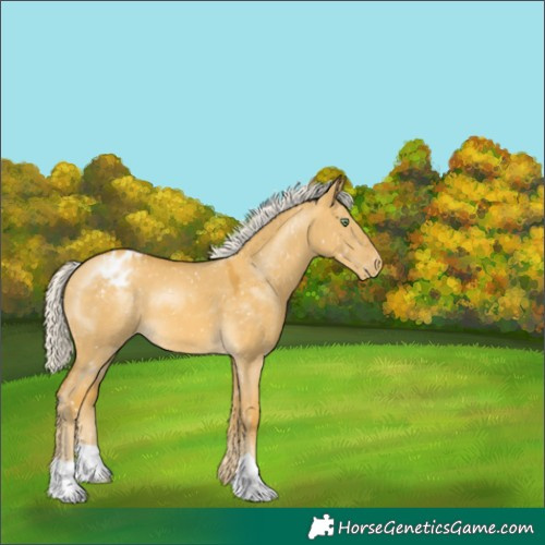 Horse Color:Silver Sable Cream Champagne Dun Snowflake Varnish 
