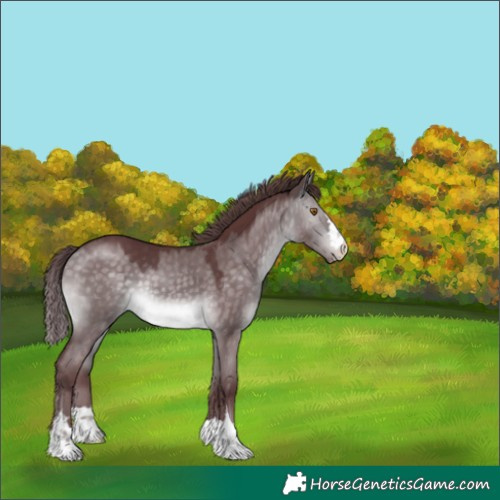 Horse Color:Platinum Chocolate Buckskin Dun Varnish 