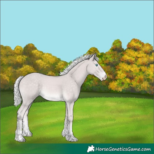 Horse Color:Platinum Silver Perlino 