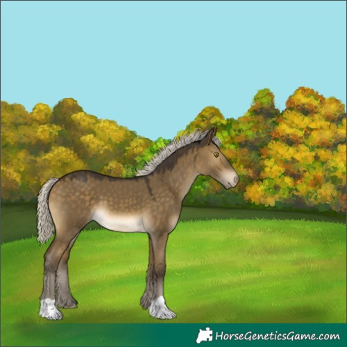 Horse Color:Silver Buckskin Dun Varnish 
