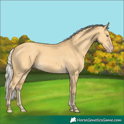 Horse Color:Silver Amber Cream Champagne Dun 