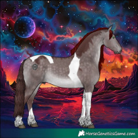 Horse Color:Platinum Chocolate Buckskin Dun Tobiano