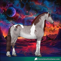 Horse Color:Platinum Chocolate Buckskin Dun Tobiano