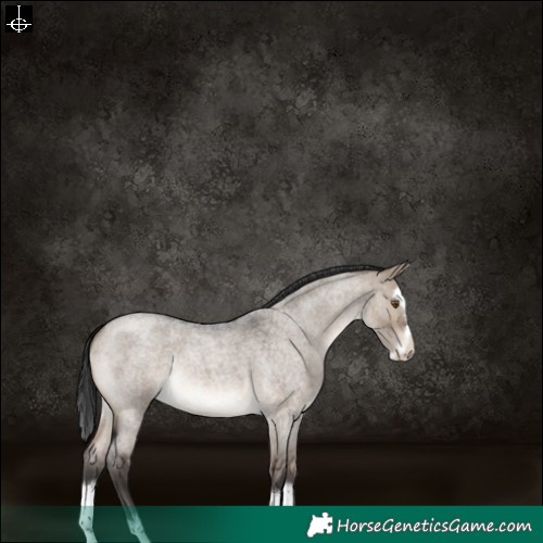 Horse Color:Brown Roan Dun Splash Rabicano 