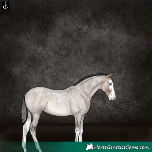 Horse Color:Brown Roan Dun Splash Rabicano 