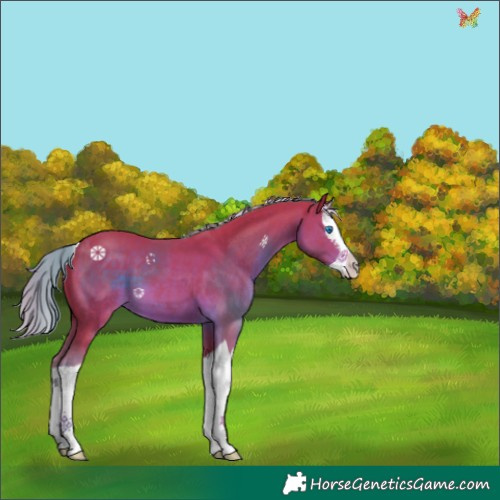 Horse Color:Watercolor Liver Chestnut Splash 