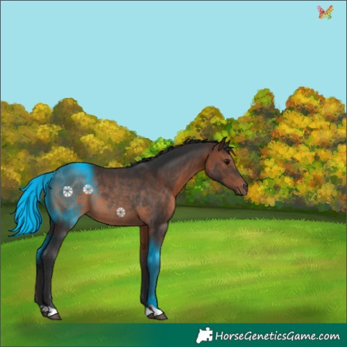 Horse Color:Brown 