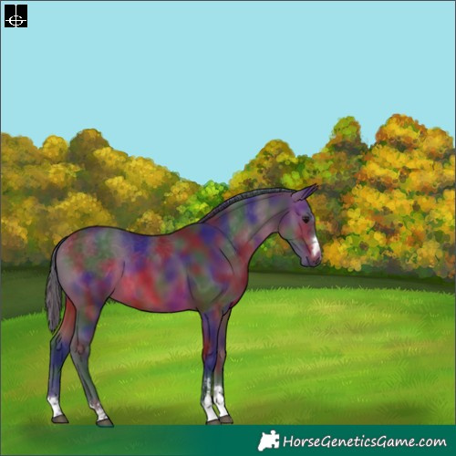 Horse Color:Nacre Brown 