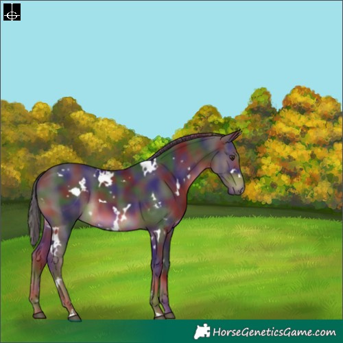 Horse Color:Nacre White Spotted Liver Chestnut 