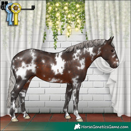 Horse Color:White Spotted Silver Brown 