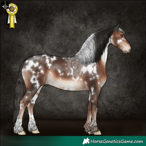 Horse Color:White Spotted Liver Chestnut 