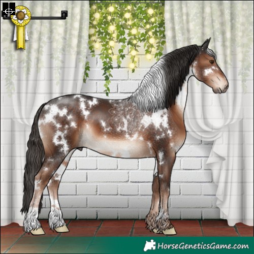 Horse Color:White Spotted Liver Chestnut 
