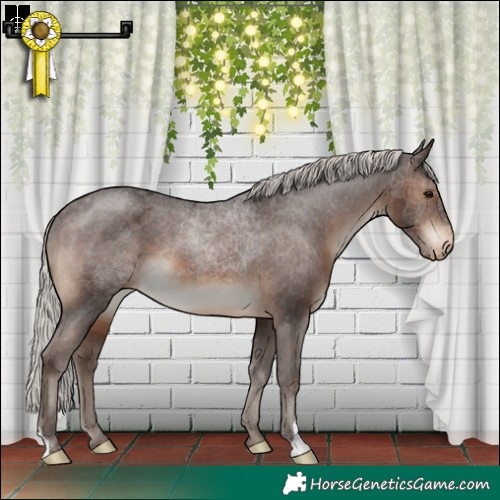 Horse Color:Silver Brown Varnish 