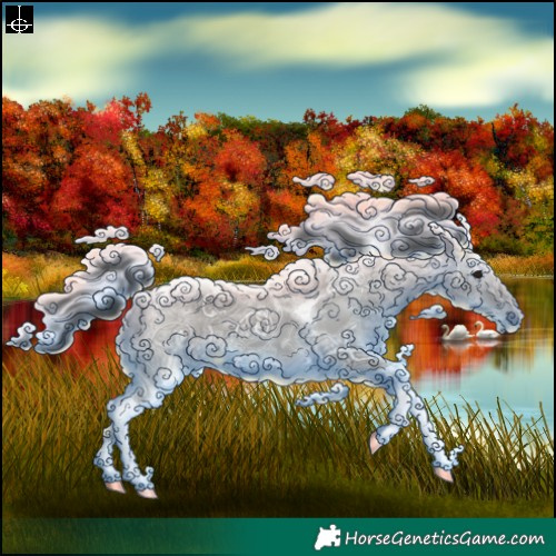 Horse Color:Grullo Ice Tobiano 