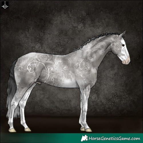 Horse Color:Grullo Ice Splash Tobiano 