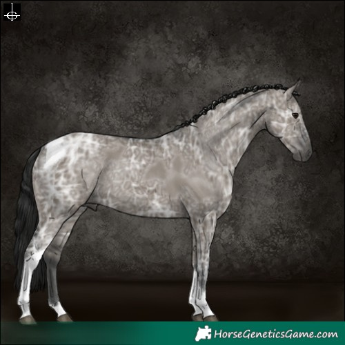 Horse Color:Gray Grullo Ice Tobiano 