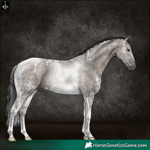 Horse Color:Gray Grullo Ice Tobiano 