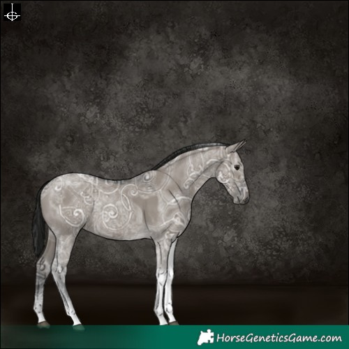 Horse Color:Gray Grullo Ice Tobiano Rabicano 