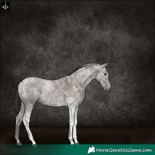 Horse Color:Grullo Ice Tobiano Rabicano 