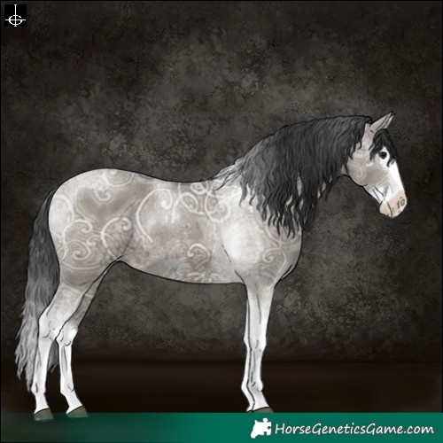 Horse Color:Grullo Ice Splash Tobiano Rabicano 