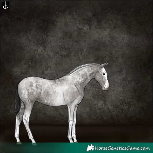 Horse Color:Gray Grullo Ice Splash Tobiano Rabicano 