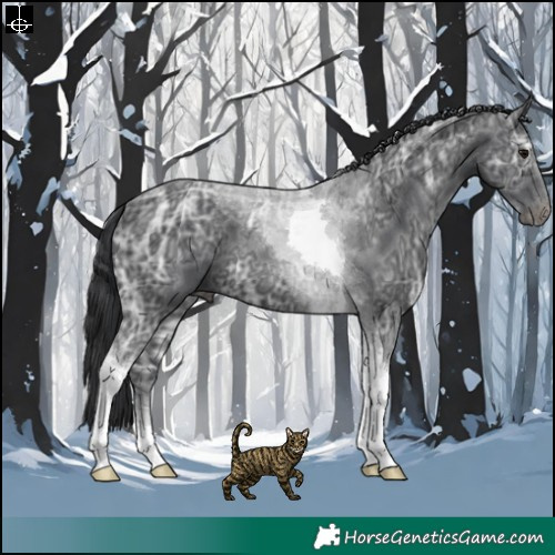 Horse Color:Black Ice Tobiano 