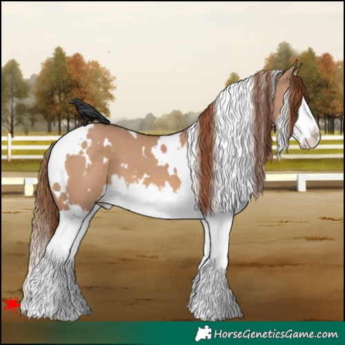 Horse Color:White Spotted Red Dun Splash 