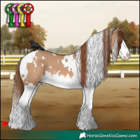 Horse Color:White Spotted Red Dun Splash