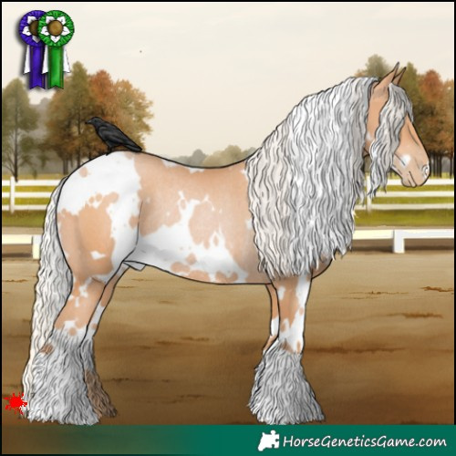 Horse Color:White Spotted Silver Bay Pearl Rabicano 