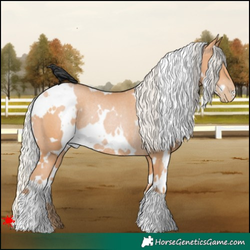 Horse Color:White Spotted Silver Bay Pearl Rabicano 