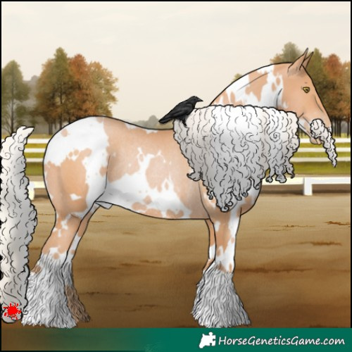 Horse Color:White Spotted Silver Bay Pearl Rabicano 