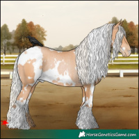 Horse Color:White Spotted Silver Bay Pearl Rabicano 
