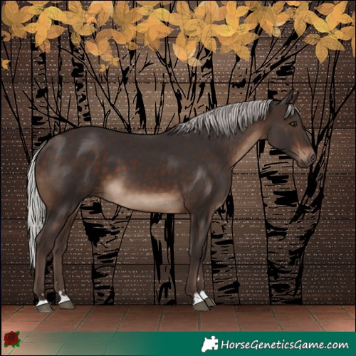 Horse Color:Silver Brown